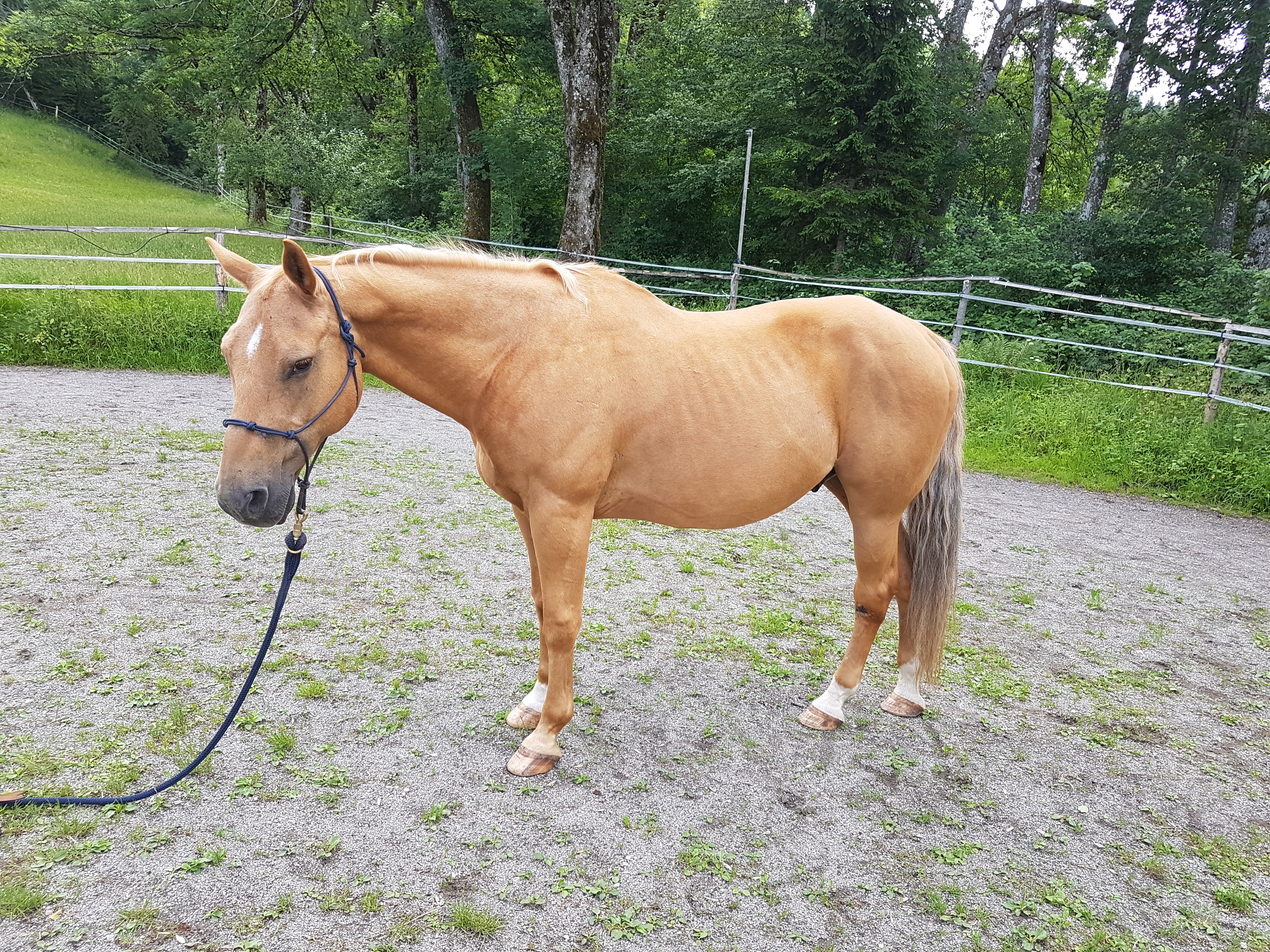 Nach 6 Monaten Image